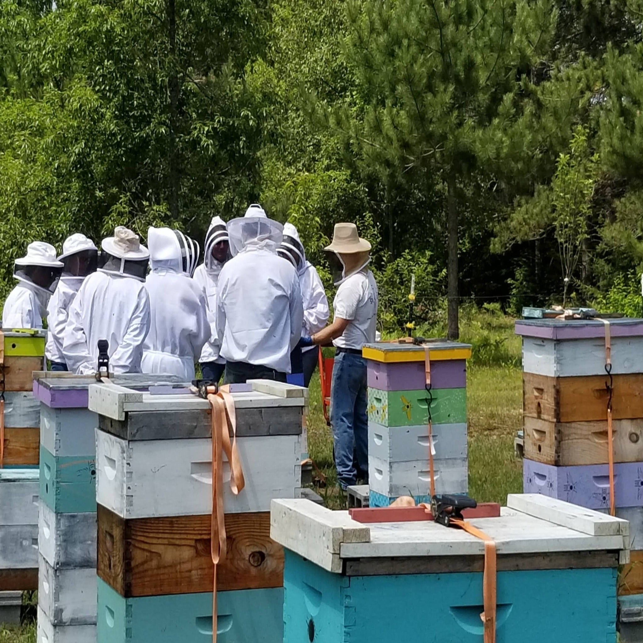2024 Open Apiary Hours