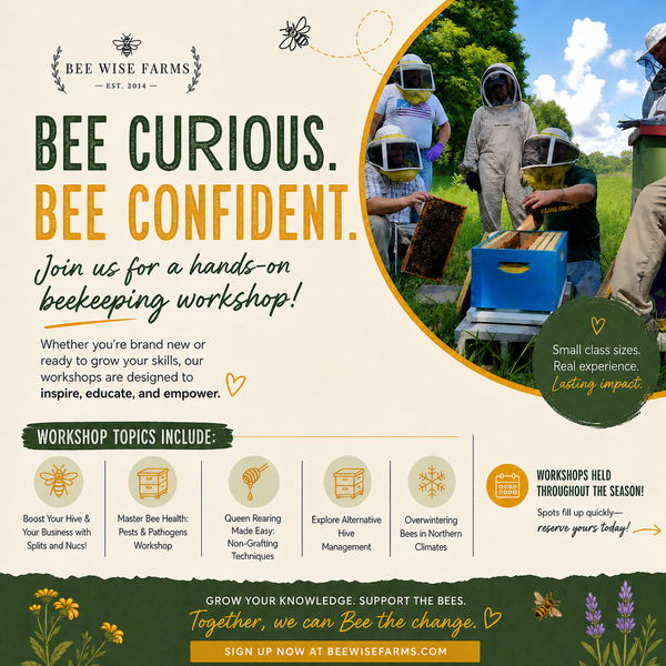 Beekeeping Workshops