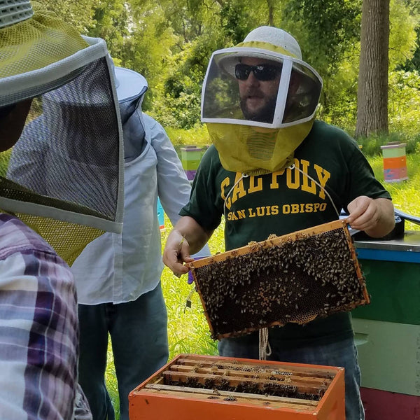 On Farm Experiences