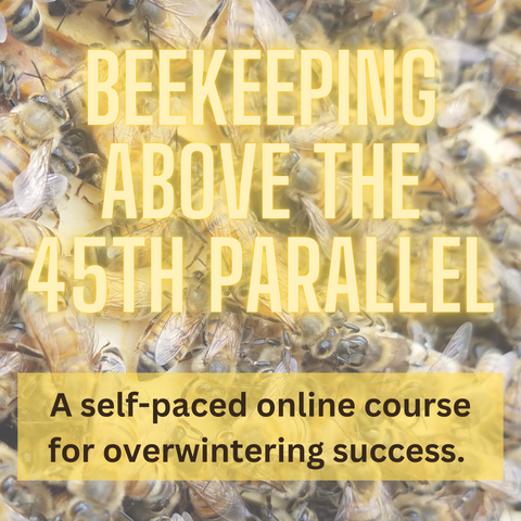 Beekeeping Course: Beekeeping Above the 45th Parallel