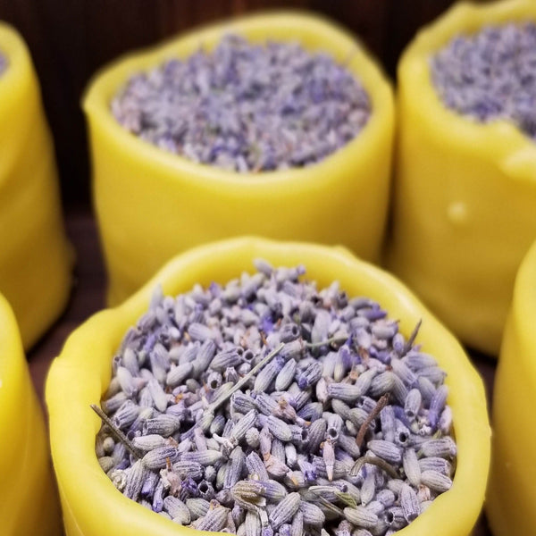 Lavender 101 Experience