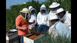 On Farm Experiences